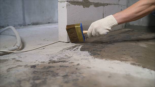 SJ Waterproofing Pros Interior Drainage System coverage map for Boyce, VA and surrounding area